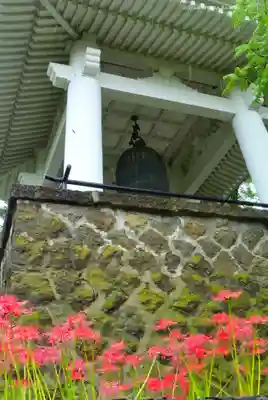 宝蔵院(東京都)