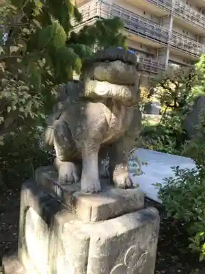 成子天神社の狛犬