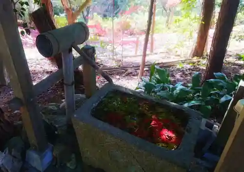 玉野御嶽神社の手水舎