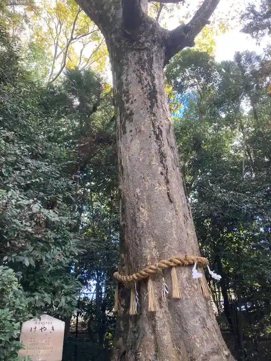 宇治上神社(京都府)