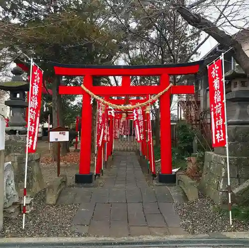 於菊稲荷神社の鳥居