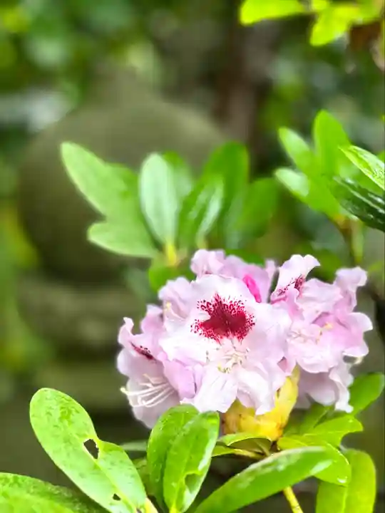 良性院(長野県)