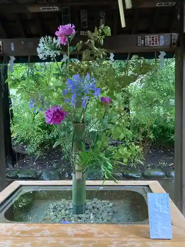 赤坂氷川神社の手水舎