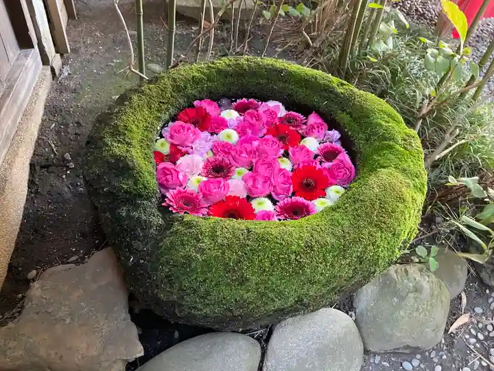 菅生神社の手水舎