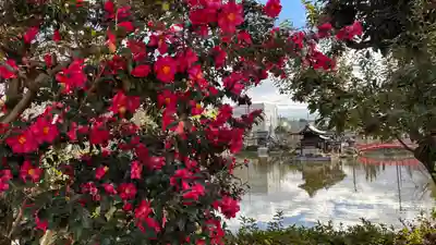 神泉苑(京都府)