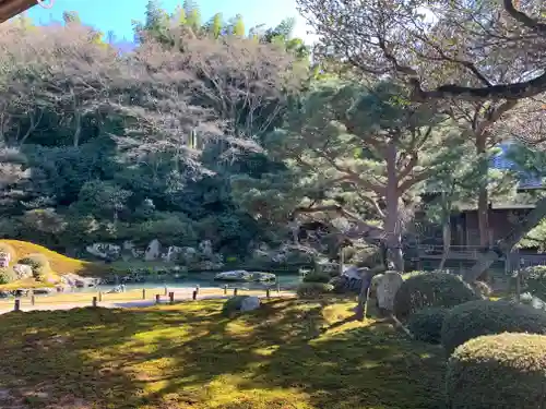 青蓮院門跡の庭園