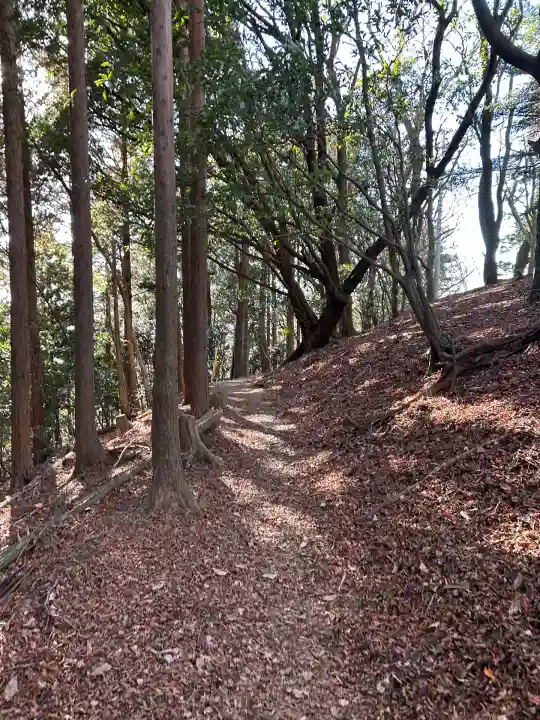 岩戸神社(砥鹿神社奥宮境外末社)(愛知県)