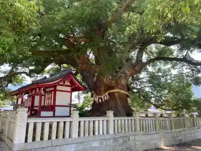善通寺(香川県)