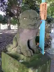 峯ヶ岡八幡神社の狛犬