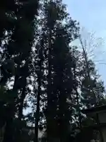 大宮温泉神社(栃木県)