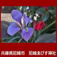 尼崎えびす神社(兵庫県)