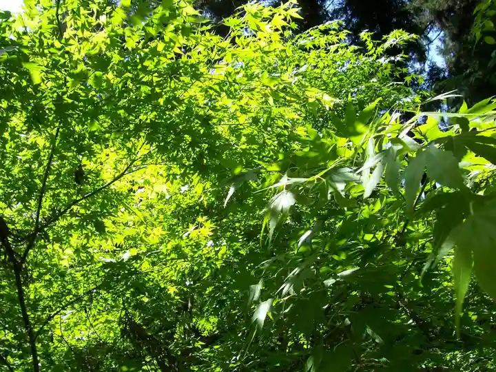 満願寺(栃木県)
