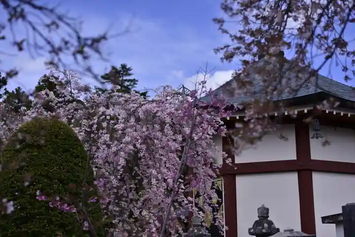 常在寺のその他建物