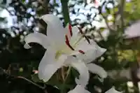 開成山大神宮の庭園