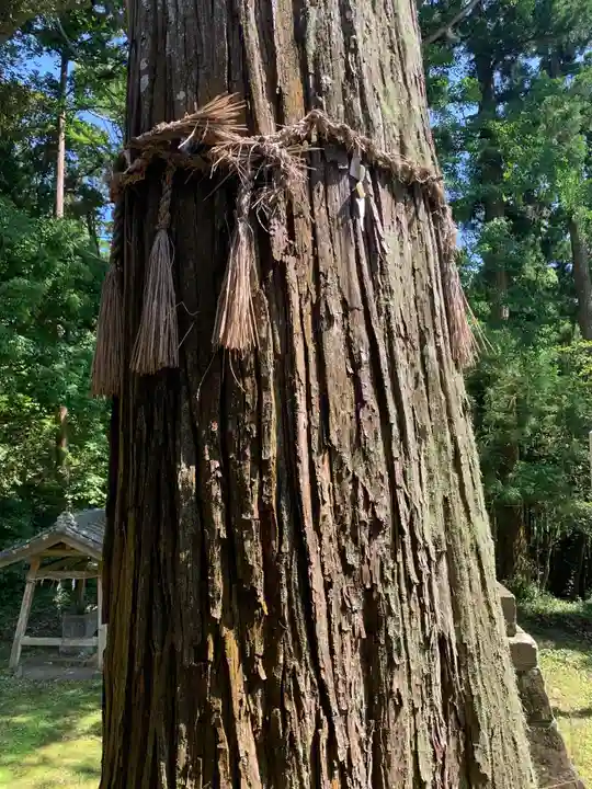 手力雄神社(千葉県)