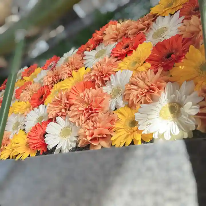 現人神社の{uncategorized: "未分類", other: "その他", undefined: "問題あり", building: "その他建物", grave: "お墓", sacred_gate: "鳥居", guardian: "狛犬", statue: "像", buddha: "仏像", history: "歴史", nature: "自然", garden: "庭園", animal: "動物", pagoda: "塔", temizu: "手水舎", mountain_gate: "山門・神門", sanctuary: "本殿・本堂", subordinate: "末社・摂社", art: "芸術", scenery: "景色", jizo: "地蔵", ema: "絵馬", goshuin: "御朱印", omikuji: "おみくじ", items: "授与品その他", amulet: "お守り", goshuincho: "御朱印帳", eats: "食事", festival: "お祭り", votive_dance: "神楽", shichigosan: "七五三参", wedding: "結婚式", experience: "体験その他", initially: "初詣", around: "周辺", anti_infection: "感染症対策"}