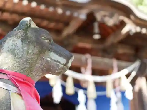 小泉稲荷神社の狛犬