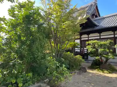 大法寺(兵庫県)