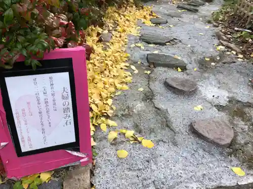 徳島眉山天神社の庭園