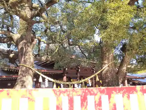 明治神宮(東京都)