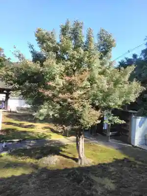 長壽寺（長寿寺）のその他建物