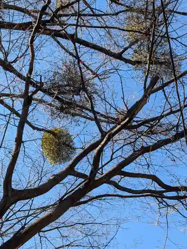 境木地蔵尊(神奈川県)