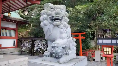 來宮神社の狛犬