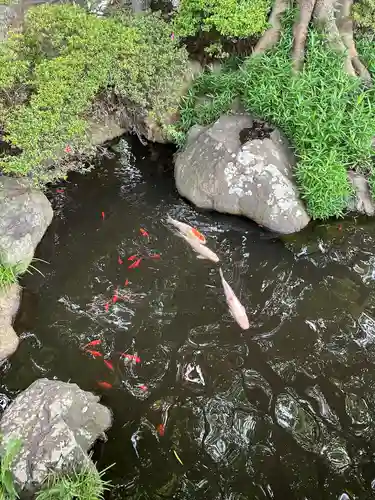 千葉神社(千葉県)
