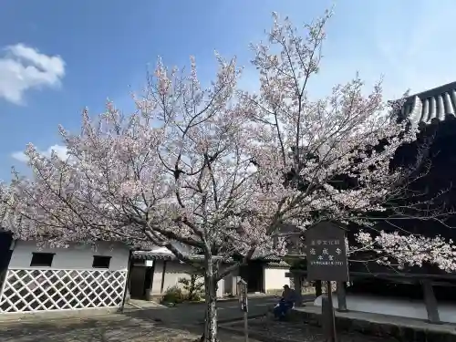 道成寺(和歌山県)