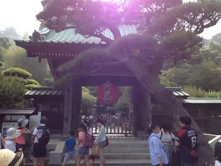 長谷寺の山門・神門