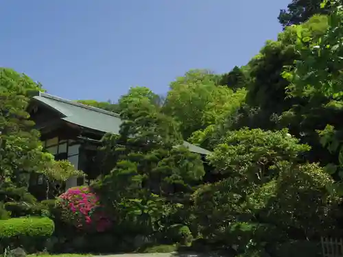 浄妙寺の庭園