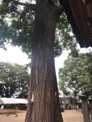 下総国三山　二宮神社のその他建物