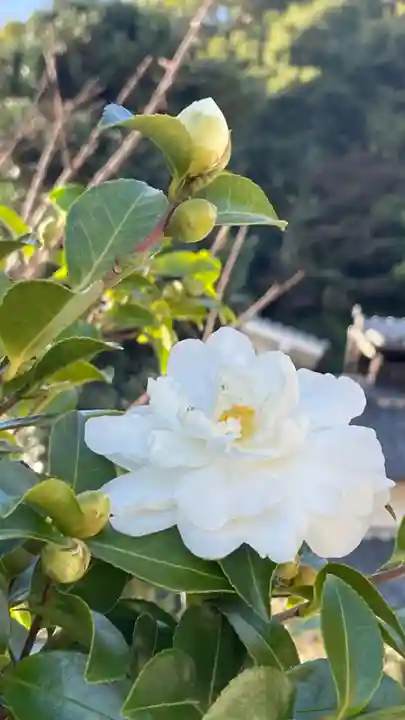 不動寺(奈良県)