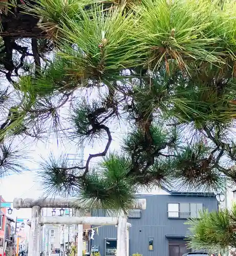 神武天皇遥拝殿(茨城県)