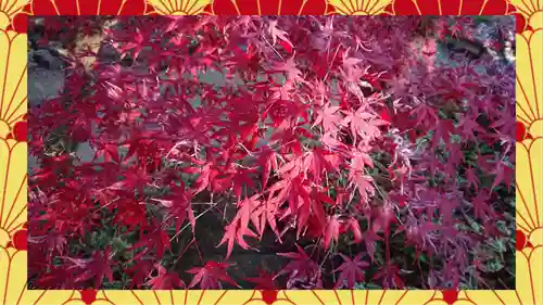 崇禅寺(群馬県)