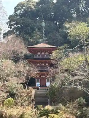浄瑠璃寺(京都府)