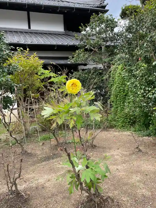 當麻寺中之坊(奈良県)