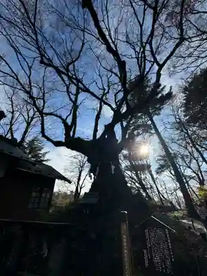 熊野皇大神社(長野県)