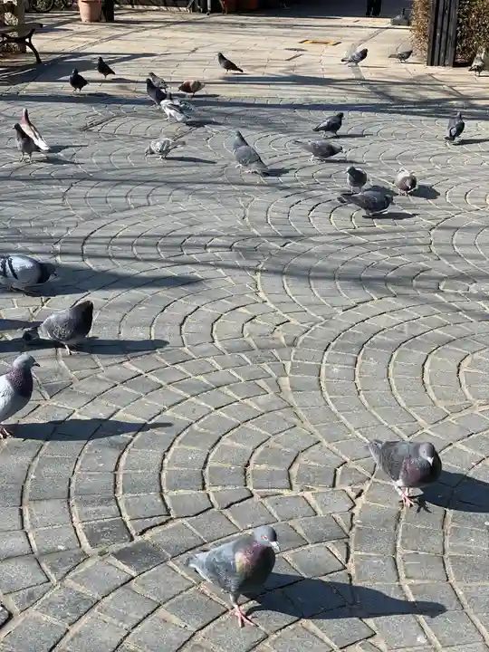 四柱神社の動物