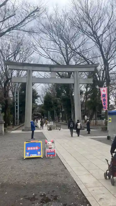 大國魂神社の御朱印