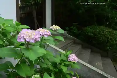 伊勢山皇大神宮(神奈川県)