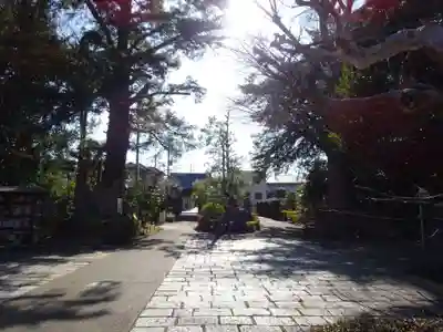 舊城寺(旧城寺)の庭園