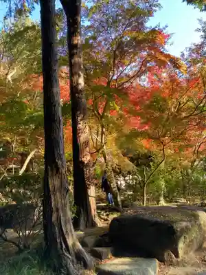 覚園寺(神奈川県)