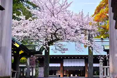伊勢山皇大神宮(神奈川県)