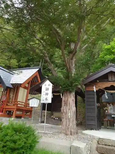 浦幌神社・乳神神社の自然