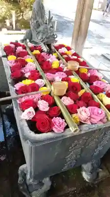 柳谷観音 楊谷寺の手水舎