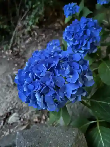 滑川神社 - 仕事と子どもの守り神(福島県)