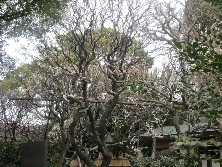 宝戒寺(神奈川県)