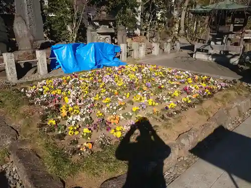 西新井大師総持寺の手水舎