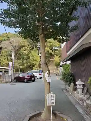 大宮八幡宮のその他建物